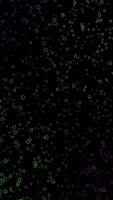 Abstract flying colorful bubbles on black background. small bubbles float straight up fast. video