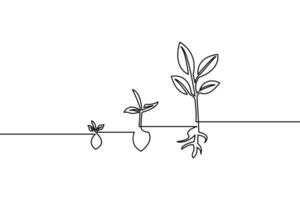 Continuous line drawing illustrating plant growth and development showing stages from seedling to mature plant with roots and leaves in monochrome vector