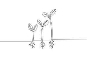 Continuous line drawing of sprouting plants illustrating growth and development stages in a minimalist style against a plain white background vector