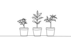 Continuous line drawing of three potted plants representing growth and development concepts against a clean white background vector