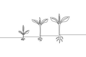 Growth and development concept depicted with continuous line drawing of three growing plants illustrating stages of life vector