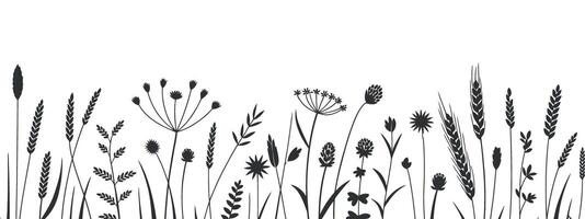 Elegant Silhouette Illustration of Wildflowers and Grasses on White Background Perfect for Nature Inspired Designs and Botanical Themed Projects and Creative Compositions vector