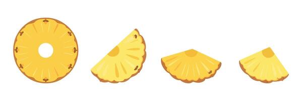 Pineapple Slices Illustration Round Slice and Quarter Slices in a Row on a White Background for Food and Drink Themes vector