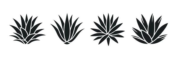 Set of Four Black Agave Plant Silhouettes on a White Background Perfect for Desert Southwestern or Minimalist Designs and Creative Projects Illustration vector