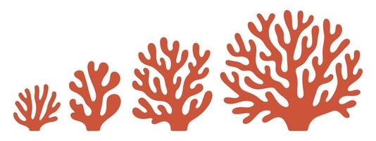 Three Different Sizes of Stylized Coral or Seaweed Illustrations vector