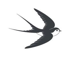 Elegant silhouette of a swallow in flight against a white background vector