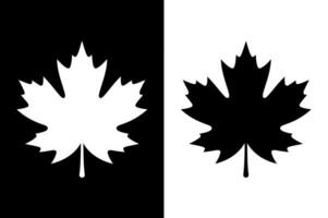Black and White Maple Leaf Design for Graphic Use vector