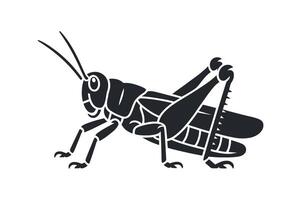 Stylized black and white illustration of a grasshopper vector