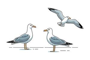 Three stylized seagulls in various poses against a white background vector