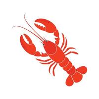 Red Lobster Illustration on White Background vector