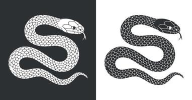 Snake Illustration in Black and White with Detailed Scales vector