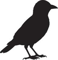 Bobolink solid black silhouette vector
