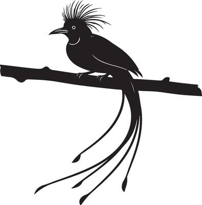 Bird of Paradise solid black silhouette