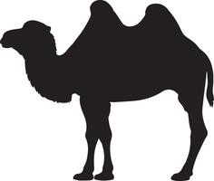 Bactrian Camel solid black silhouette vector