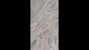 Close-Up View of Braided Cord Bundle with Soft Lighting video