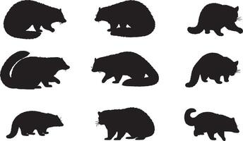 Solid Black Silhouettes of Binturong on White Background collection vector