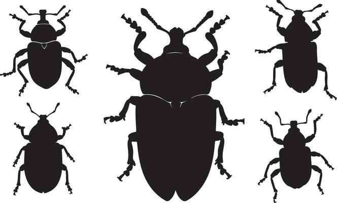 Boll Weevil Solid Black Silhouette Collection