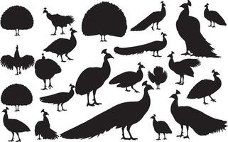 Peacock Side View Silhouettes collection vector