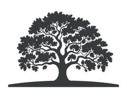 Silhouette of a Majestic Oak Tree with Lush Foliage and a Wide Base Simple black silhouette large oak tree against white background oak vector