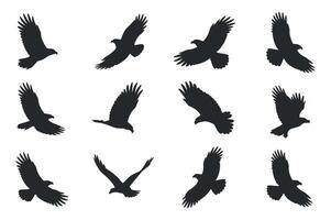 A Seamless Pattern of Black Silhouette Eagles in Flight Multiple black silhouettes eagles flight against white background eagle bird silhouette flying flight pattern vector