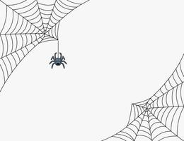 Simple Black and White Spider Web Design with a Small Spider in the Center Two spider webs meet center small spider middle spider vector