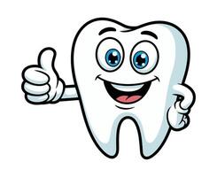 Cartoon Tooth Giving a Thumbs Up Showing Healthy Teeth and Good Oral Hygiene happy cartoon tooth gives thumbs up symbolizing good oral health vector