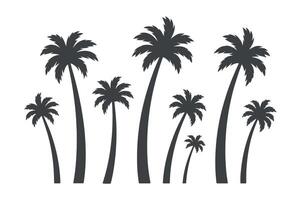 Silhouette of multiple palm tree against a white background vector