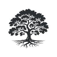 Silhouette of a large mature tree with extensive roots Black silhouette full canopy and robust root system silhouette nature forest wood plant canopy vector