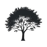 Silhouette of a full bodied tree with lush foliage and a sturdy trunk Black silhouette against white background silhouette image nature image forest vector
