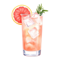 Hand-painted Paloma drink in a tall glass with citrus garnish. png