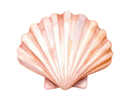 Marine-themed shellfish illustration with natural colors. png