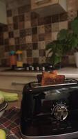 Smoking toast in toaster burnt bread cooking error funny or stressful kitchen moment concept of food preparation gone wrong video