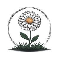 Elegant Illustration of a White Daisy in a Circular Frame with Grass stylized graphic white daisy dark orange center surrounded circular frame and vector