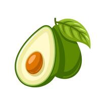 Green avocado icon isolated on white background. Fruit element vector