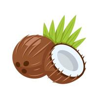 Coconut icon isolated on white background. Cartoon style vector