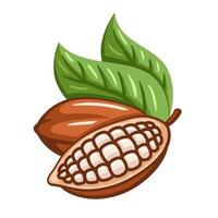 Cocoa beans isolated on white background. Logo template. Cacao beans. Design elements vector