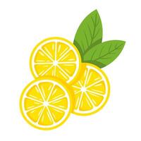 Yellow lemon isolated on white background. Flat style vector