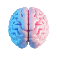 Brain hemispheres render on transparent background png