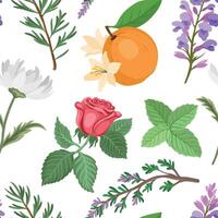 seamless pattern with aromatic ingredients vector