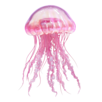 Isolated pink jellyfish on transparent background png
