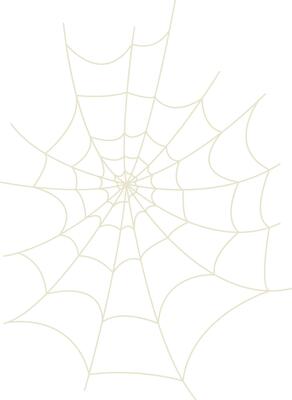 Spider Net Decoration in Flat Design.
