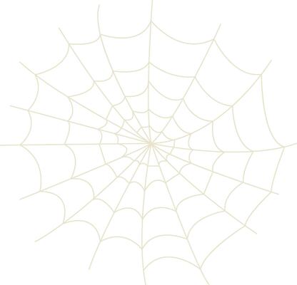 Spider Net Decoration in Flat Design. Isolated on White Background.