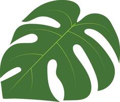 Green Tropical Leaves Illustration in Cartoon Design. vector