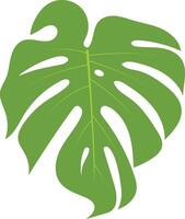 Green Tropical Leaves Illustration in Cartoon Design. Isolated on White Background. vector