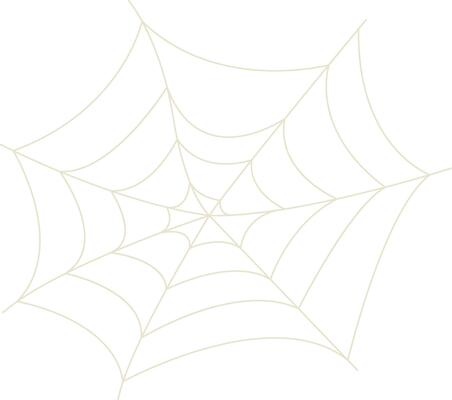 Spider Net Decoration with Simple Shape