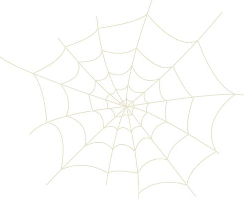 Spider Net Decoration