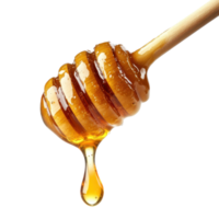 Honey dripping from stick on transparent background. png