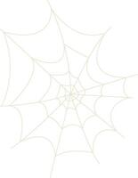 Spider Net Decoration. vector