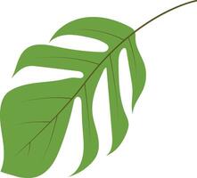 Green Tropical Leaves Illustration in Cartoon Design vector