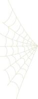 Spider Net Decoration in Flat Design. Isolated on White Background vector
